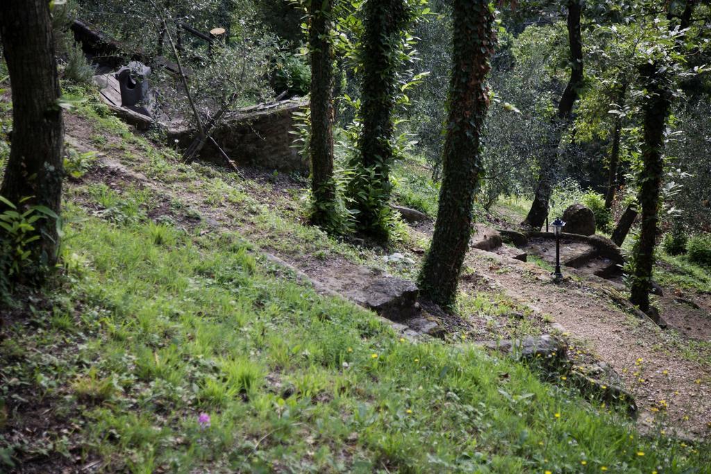 Montefiore Casa Vacanze Διαμέρισμα Lamporecchio Εξωτερικό φωτογραφία